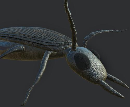 Beetle (Game ready) preview image